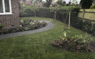 Landscapers in My Area: How to Choose the Right Local Team for Your Garden