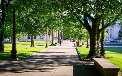 How to Transform UK Green Spaces: Creative Park Landscaping Ideas for Local Communities